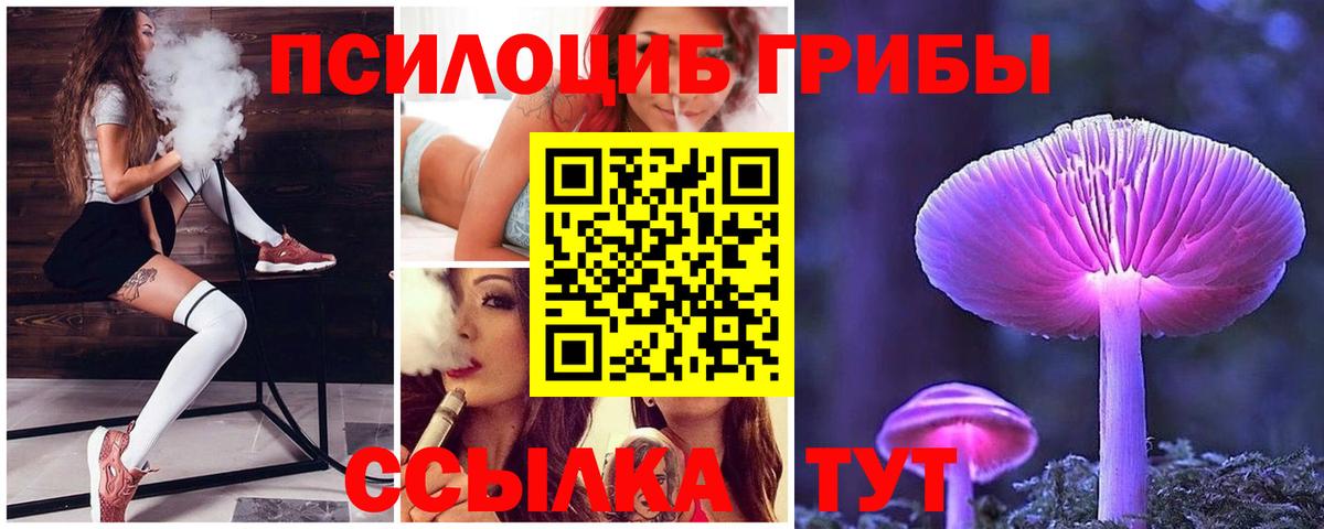 Галлюциногенные грибы прущие грибы  Галлюциногенные грибы GOLDEN TEACHER  Вход с VPN  где купить наркотик  Новоуральск 
